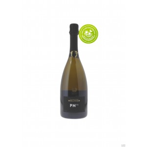 CHAMPAGNE BRUT BLANC PNZ 16