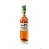 PUNCHS AU RHUM Pomme / cannelle