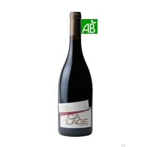 DOMAINE DECALAGE HERITAGE 2020 ROUGE 150cl