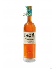 PUNCHS AU RHUM Mangue/Ananas