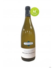 MACON CHAINTRE BLANC Jean Francois TRICHARD 2020
