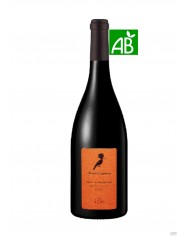 COTES DU ROUSSILLON ROUGE L'ORRI Elevage en amphores 2019