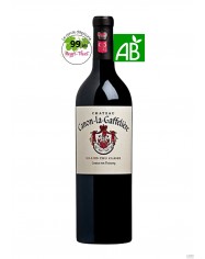 SAINT EMILION 1 ER GRAND CRU CLASSE 2019