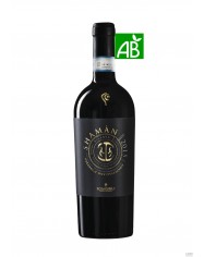 TORRI CANTINE SHAMAN MONTEPULCIANO D'ABRUZZO RISERVA 2013 150cl