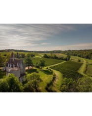 RENAISSANCE BORDEAUX PARTY ! MASTERCLASS &agrave; la d&eacute;couverte de P&eacute;pites inattendues !