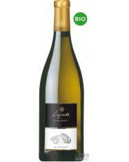 SANCERRE BLANC Le Rochoy Terroir silex 2021