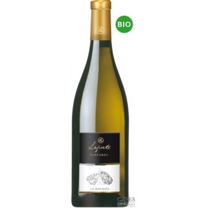 SANCERRE BLANC Le Rochoy Terroir silex 2021