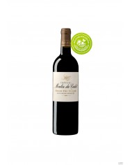 SAINT-EMILION GRAND CRU Rouge Moulin du Cadet - Grand Cru Classé 2016