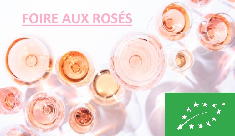 ROSE_BIO.jpg